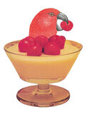 product images  of 