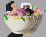 product images  of 