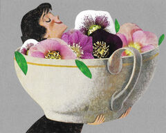 Product images  of 