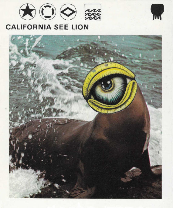 Original Collage Art - See Lion Artwork - product images