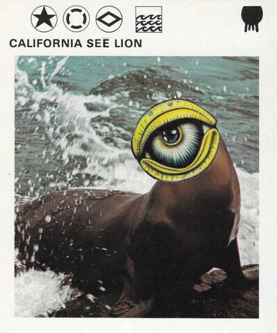 Original,Collage,Art,-,See,Lion,Artwork,original collage,  see lion eye head paper collage, original altered flashcard surreal artwork, unique funny animal gift, handmade collage art