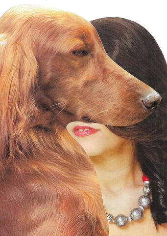 Original,Collage,Art,-,Dog,Face,Artwork,original collage, dog face woman paper collage, canine portrait surreal artwork, pet lover decor, unique funny animal gift, handmade collage art