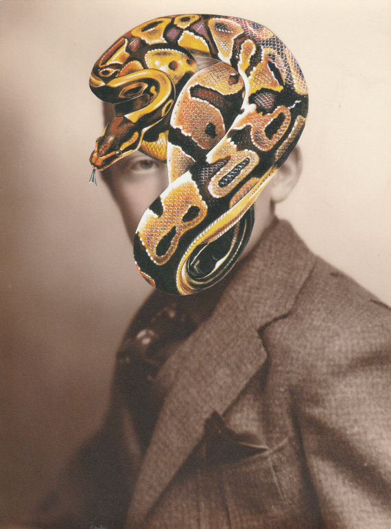 Original Collage Art - The Serpent's Gaze Artwork - product images