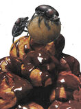 product images  of 