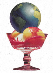 Product images  of 
