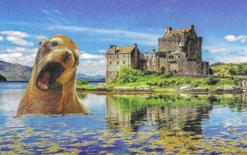 Original,Collage,Art,-,Castle,Explorer,Artwork,original collage, sea lion castle vintage postcard collage, animals on vacation surreal artwork, unique funny travel gift, handmade collage art