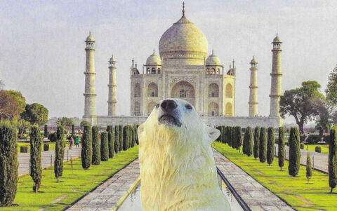 Original,Collage,Art,-,Taj,Mahal,Tour,Artwork,original collage,  polar bear taj mahal vintage postcard collage, world travel surreal artwork, india monument, unique funny explorer gift, handmade collage art