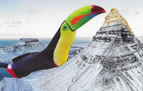 Original,Collage,Art,-,Snow,Toucan,Artwork,original collage, toucan snowy mountain postcard collage, tropical bird surreal artwork, vintage travel, unique funny wildlife gift, handmade collage art