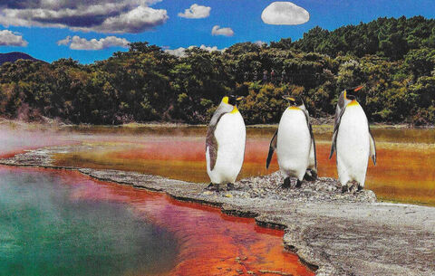 Original,Collage,Art,-,Hot,Spring,Holiday,Artwork,original collage, penguins hot spring vintage postcard collage, surreal artwork, unique funny bird gift, handmade collage art