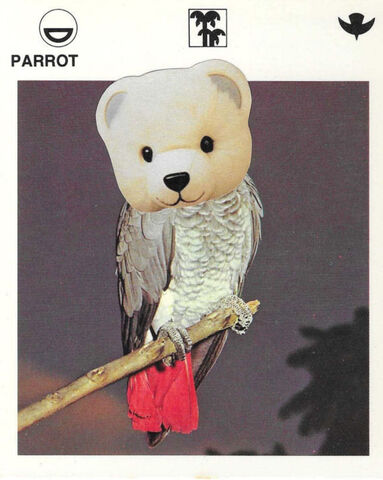 Original,Collage,Art,-,The,Teddy,Parrot,Artwork,original collage,  parrot teddy bear head paper collage, stuffed animal surreal artwork, unique funny bird gift, handmade collage art