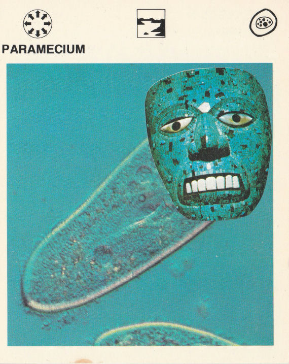 Original Collage Art - Microscopic Mask Artwork - product images