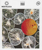 product images  of 