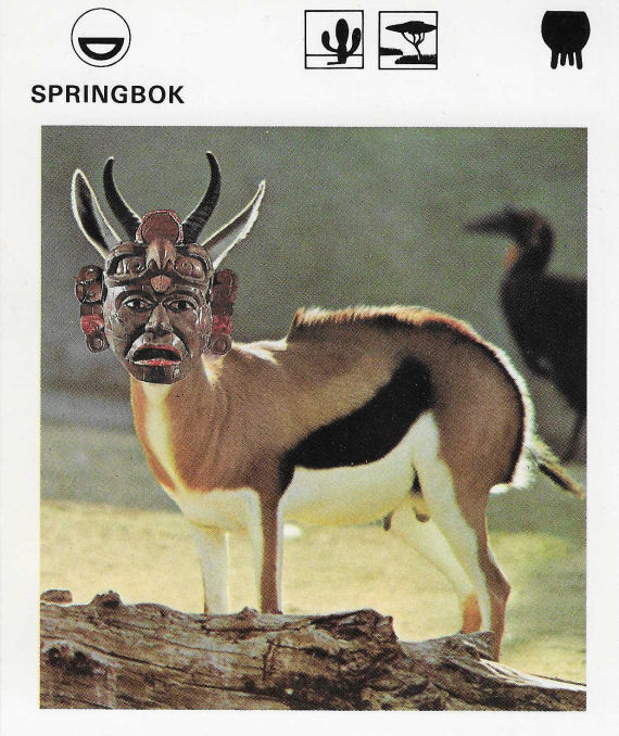 Original Collage Art - Antelope Totem Artwork - product images