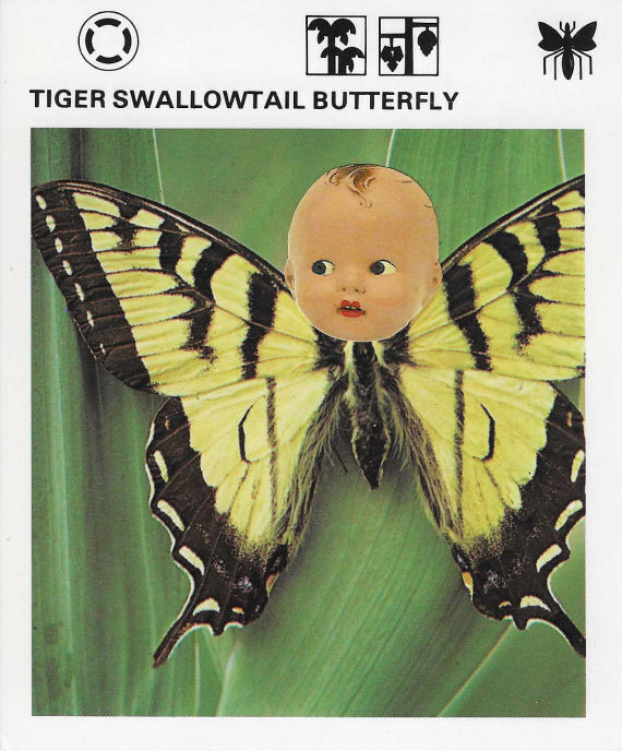 Doll Butterfly Artwork - product images