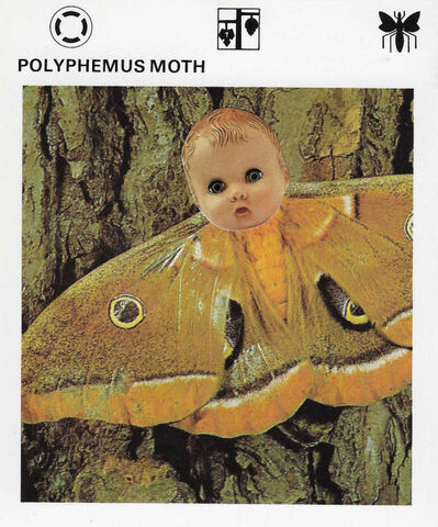 Original,Collage,Art,-,Doll,Moth,Artwork,original collage, moth doll head paper collage, altered flashcard surreal insect artwork, unique funny gift, handmade collage art