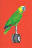 product images  of 