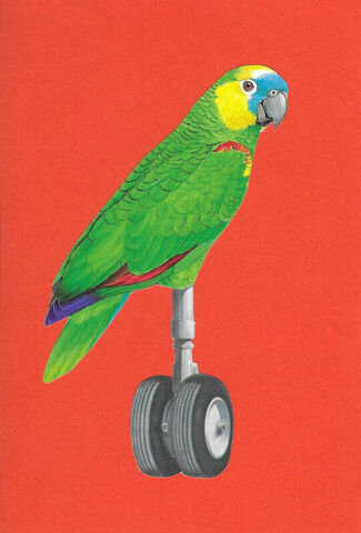 Original,Collage,Art,-,Fast,Feathers,Artwork,original collage, green parrot wheels paper collage, bird machine hybrid surreal artwork, unique funny animal gift, handmade collage art