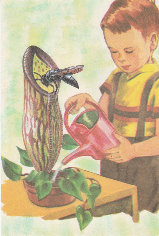 Original Collage Art - Feeding Time Artwork - product images