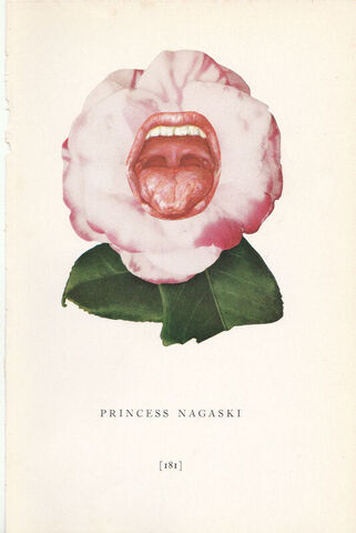 Original,Collage,Art,-,Say,Ahh,Artwork,original collage, camellia flower anatomy mouth paper collage, medical textbook surreal artwork, altered book page, unique funny floral gift, handmade collage art
