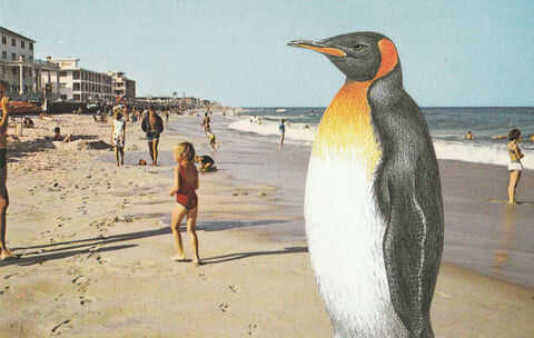 Original,Collage,Art,-,Summer,Vacation,Artwork,original collage, penguin crowded beach vintage postcard collage, summer vacation funny animal surreal artwork, altered retro souvenir, unique travel humor gift, handmade collage art