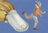 product images  of 