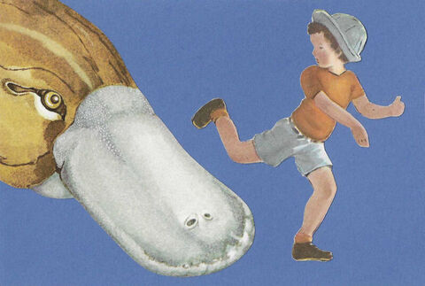 Original,Collage,Art,-,An,Unlikely,Predator,Artwork,original collage, giant platypus paper collage, unlikely predator funny animal attack artwork, unique wildlife gift, handmade collage art