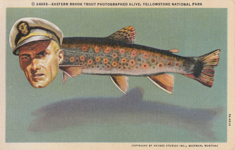 Original Collage Art - Commodore Trout Artwork - product images  of 