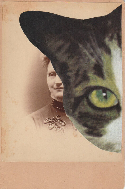 Original Collage Art - Photobomb Artwork - product images