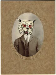 Product images  of 