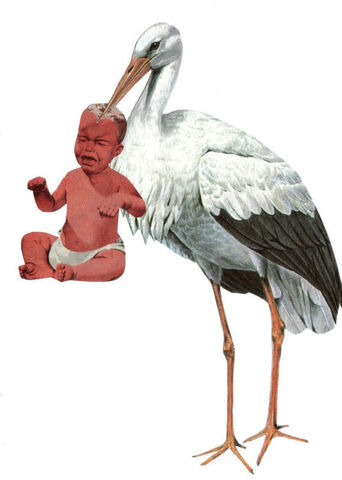 Original,Collage,Art,-,Special,Delivery,Artwork,original collage, stork carrying crying baby paper collage, special delivery funny artwork, unique baby shower humor gift, handmade collage art