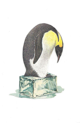 Original,Collage,Art,-,Climate,Change,Artwork,original collage, penguin standing melting ice cube paper collage, original climate change political environment surreal artwork, global warming, unique eco activist gift, handmade collage art