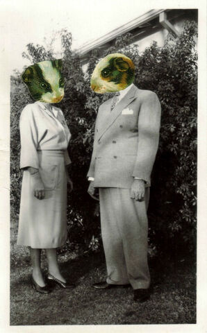 Original,Collage,Art,-,Domestic,Bliss,Artwork,original collage, guinea pig heads couple vintage photograph collage, domestic bliss funny anthropomorphic portrait artwork, altered black and white photo, handmade collage art