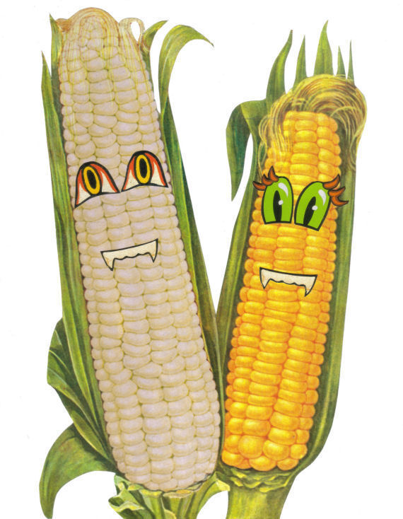 Original Collage Art - Corny Artwork - product images