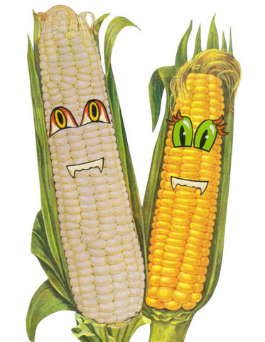 Original,Collage,Art,-,Corny,Artwork,original collage, ears of corn funny faces paper collage, original corny anthropomorphic sweetcorn vegetable artwork, kitchen humor food, unique gardener gag gift, handmade collage art