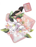 product images  of 