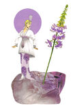 product images  of 