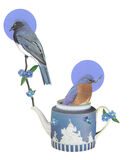 product images  of 