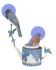 Product images  of 