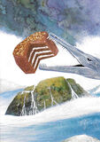 product images  of 