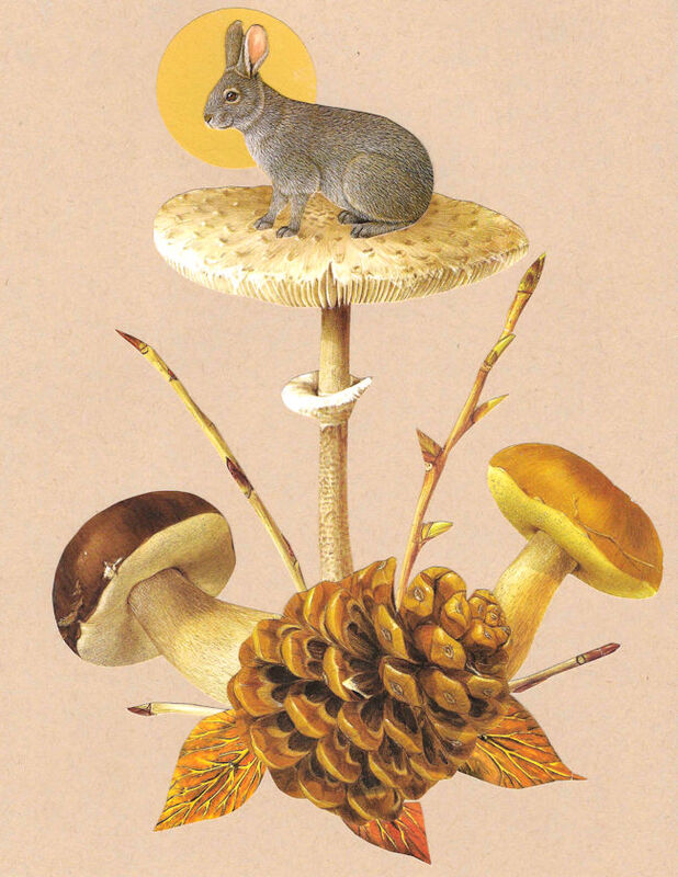 Original Collage Art - Whimsical Rabbit with Mushrooms - product images