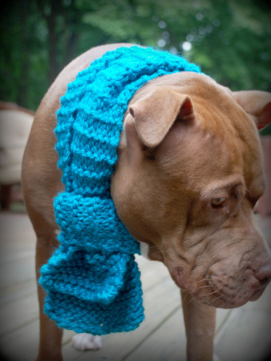 Teal Dog Scarf for Medium or Large Breeds Hand Knit Courtanai's Boutique