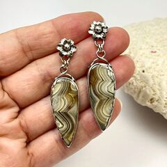 Product images  of 