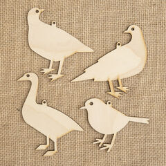 Product images  of 