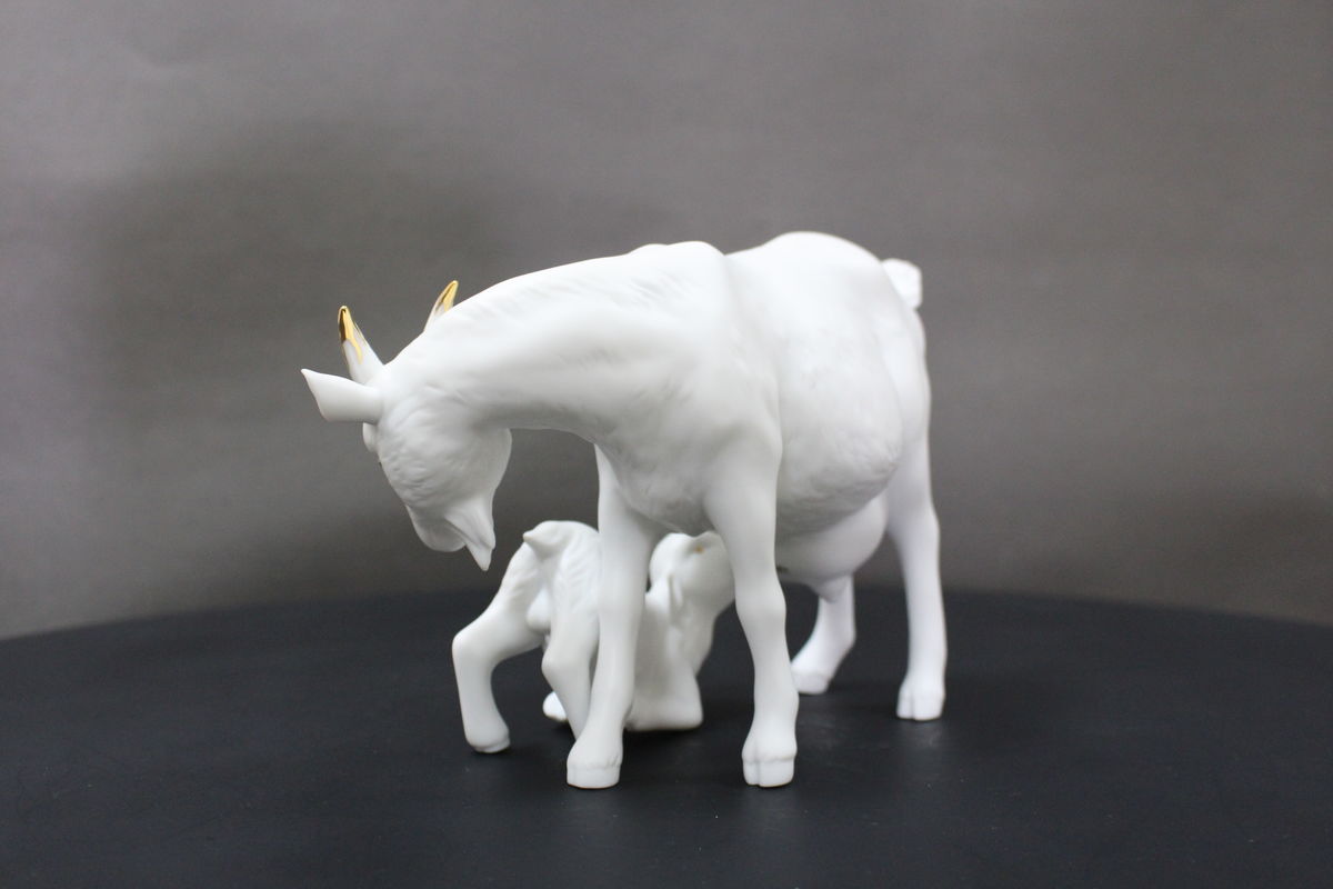 my babies-goat 羔羊跪乳