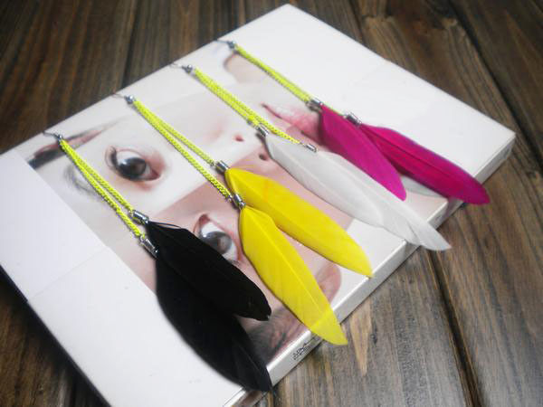 FEATHER WITH CHAIN EARRINGS - product image  