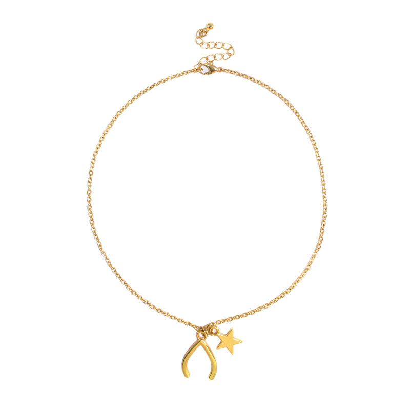 WISH BONE AND STAR CHARMS NECKLACE - product image  