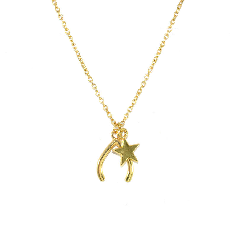 WISH BONE AND STAR CHARMS NECKLACE - product image  