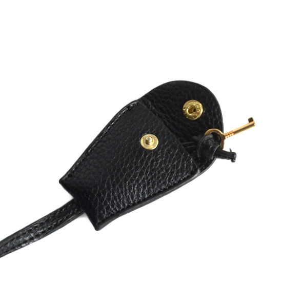 SC BAG - product image  