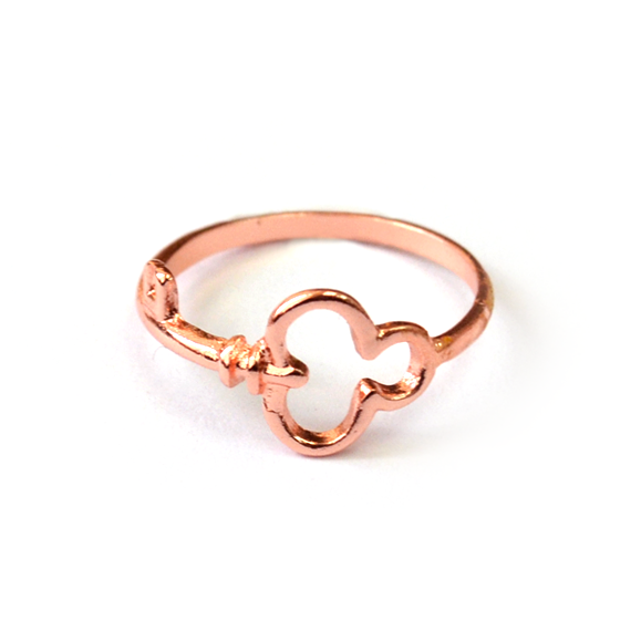 KEY RING - product image  