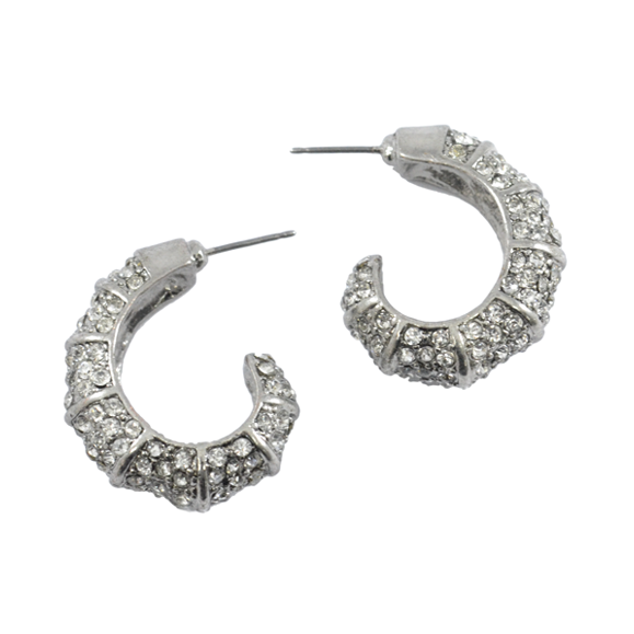 SILVER TONE CRYSTALS GROOVE EARRINGS - product image  